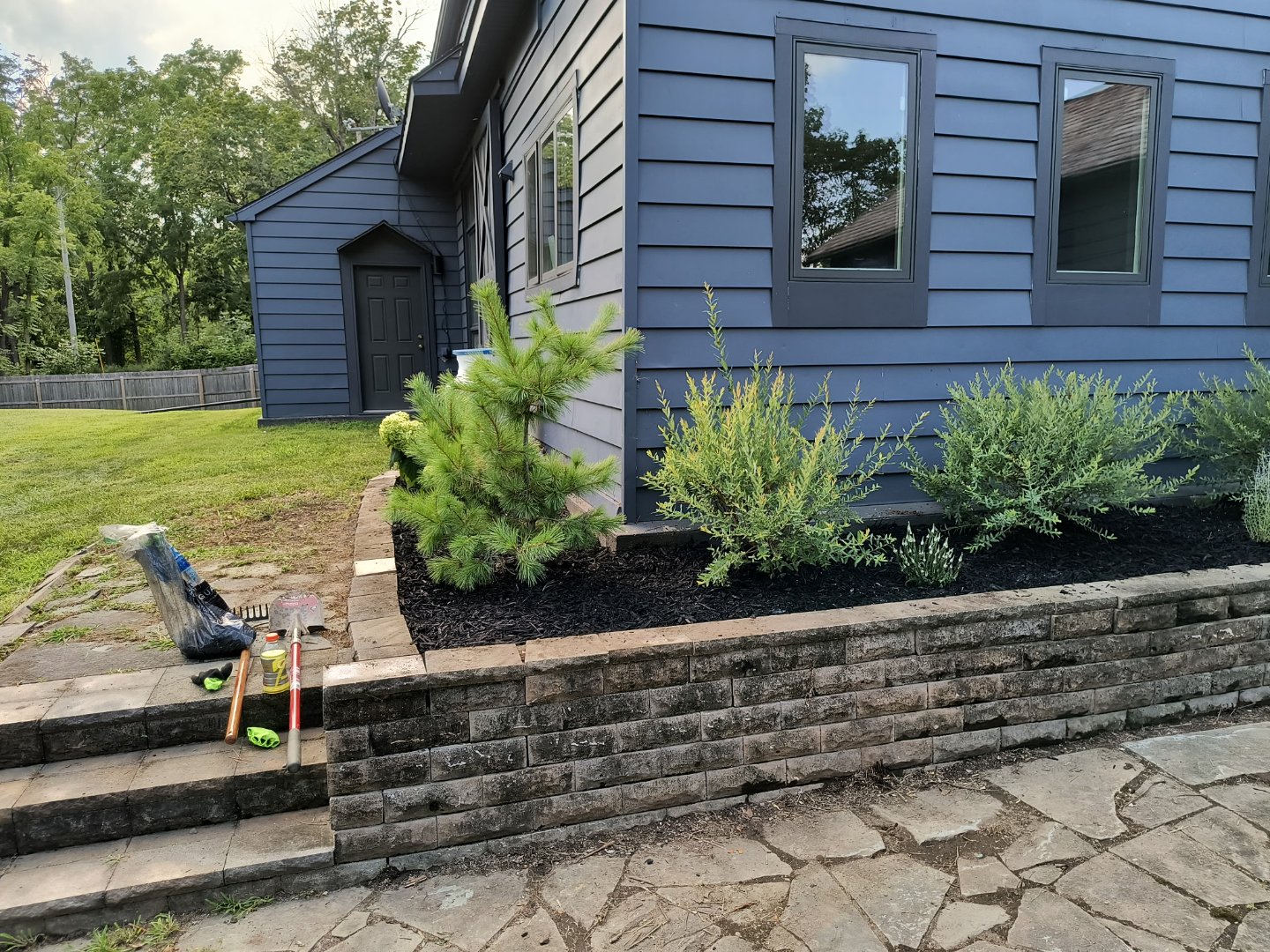 Backyard restoration