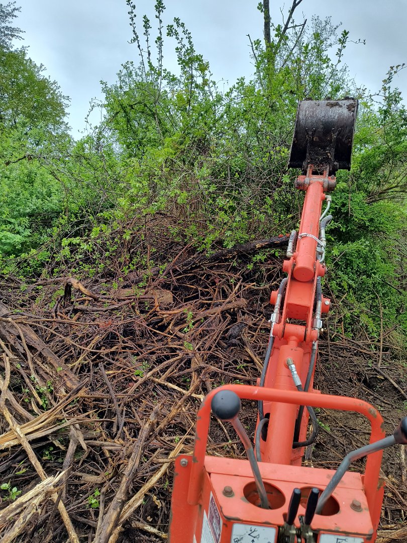 Land clearing work