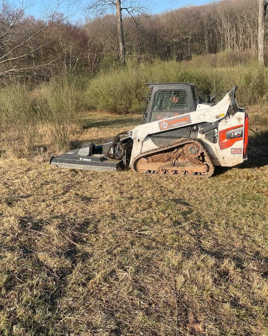 Professional land clearing