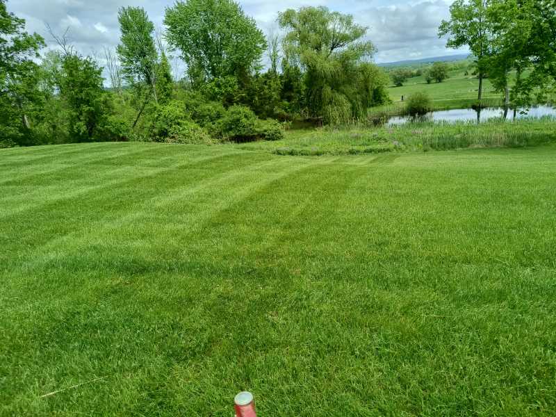 Commercial lawn striping