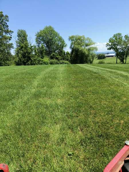 Lawn striping service