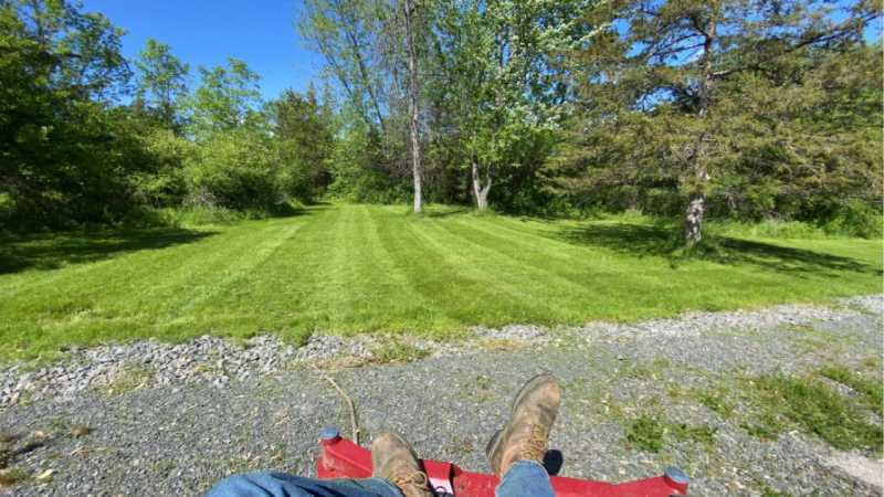 Professional lawn mowing