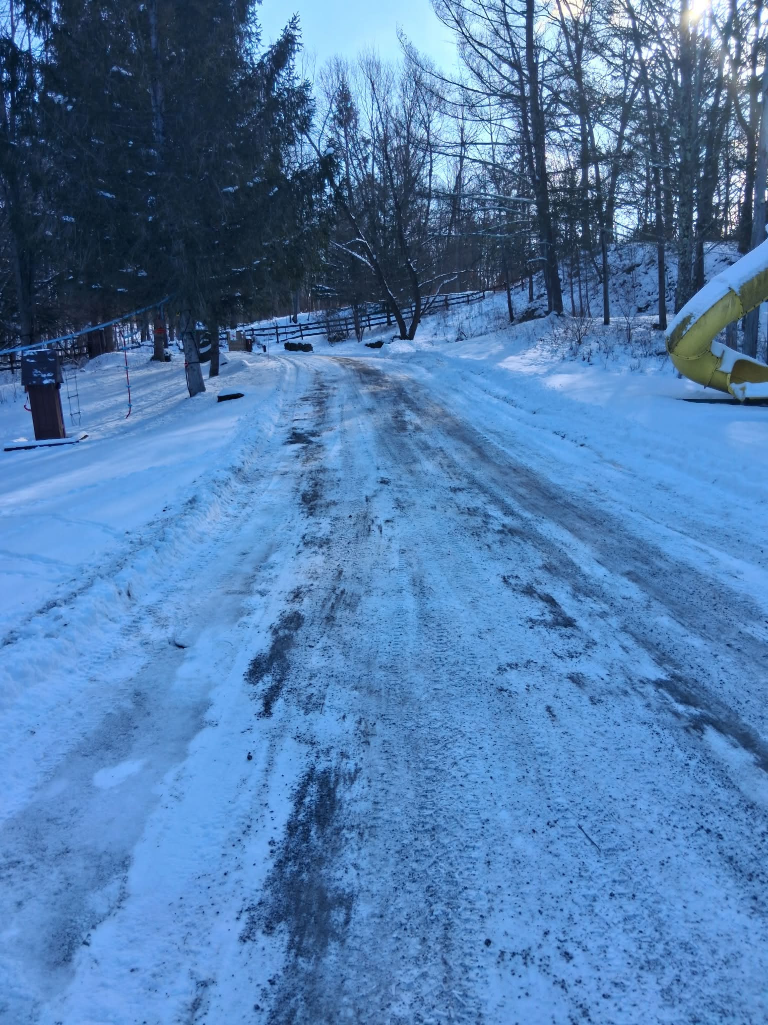 Driveway snow plowing - cleared path through winter landscape